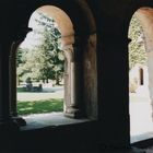 Abbeye de l'Escaladieu (Tarbes)