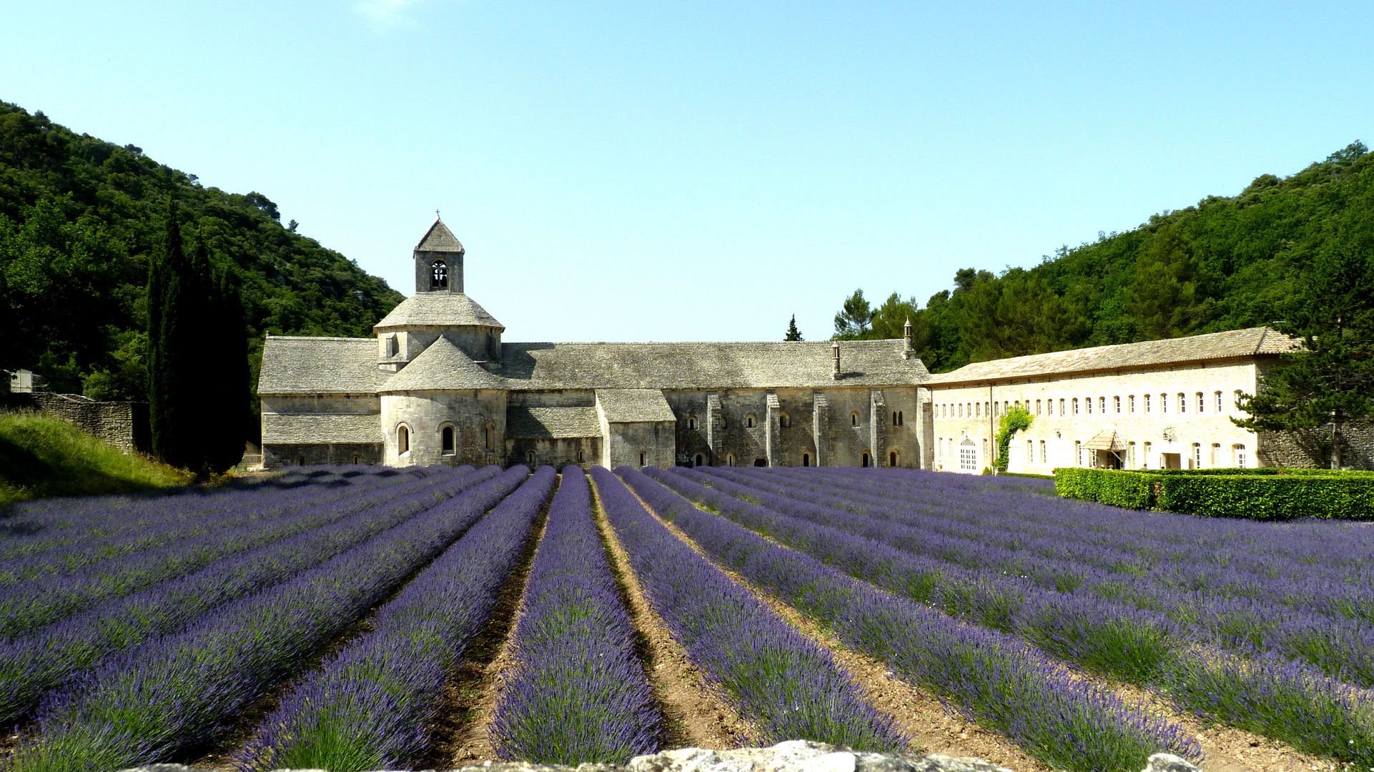 Abbeye de Senanque