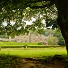 Abbortsford House, Borders