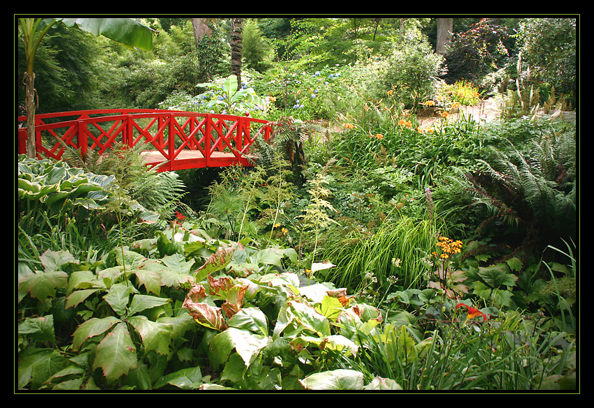 *** Abbotsbury Gardens ***