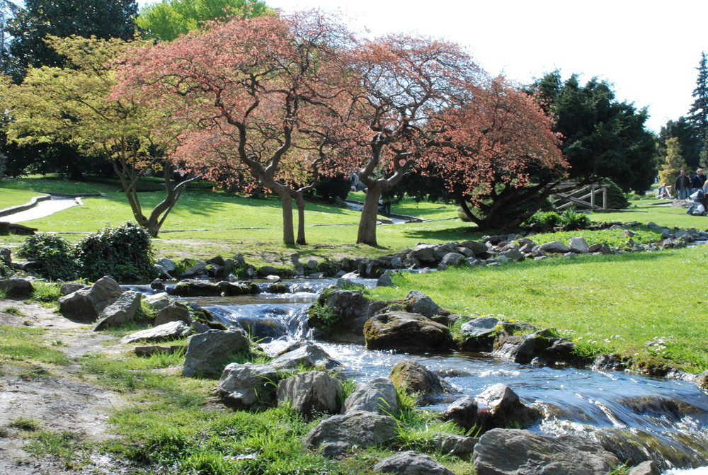 Abbozzo di primavera