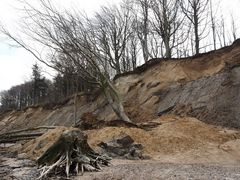 Abbruch an der Steilküste bei Dänisch-Nienhof (Schwedeneck)