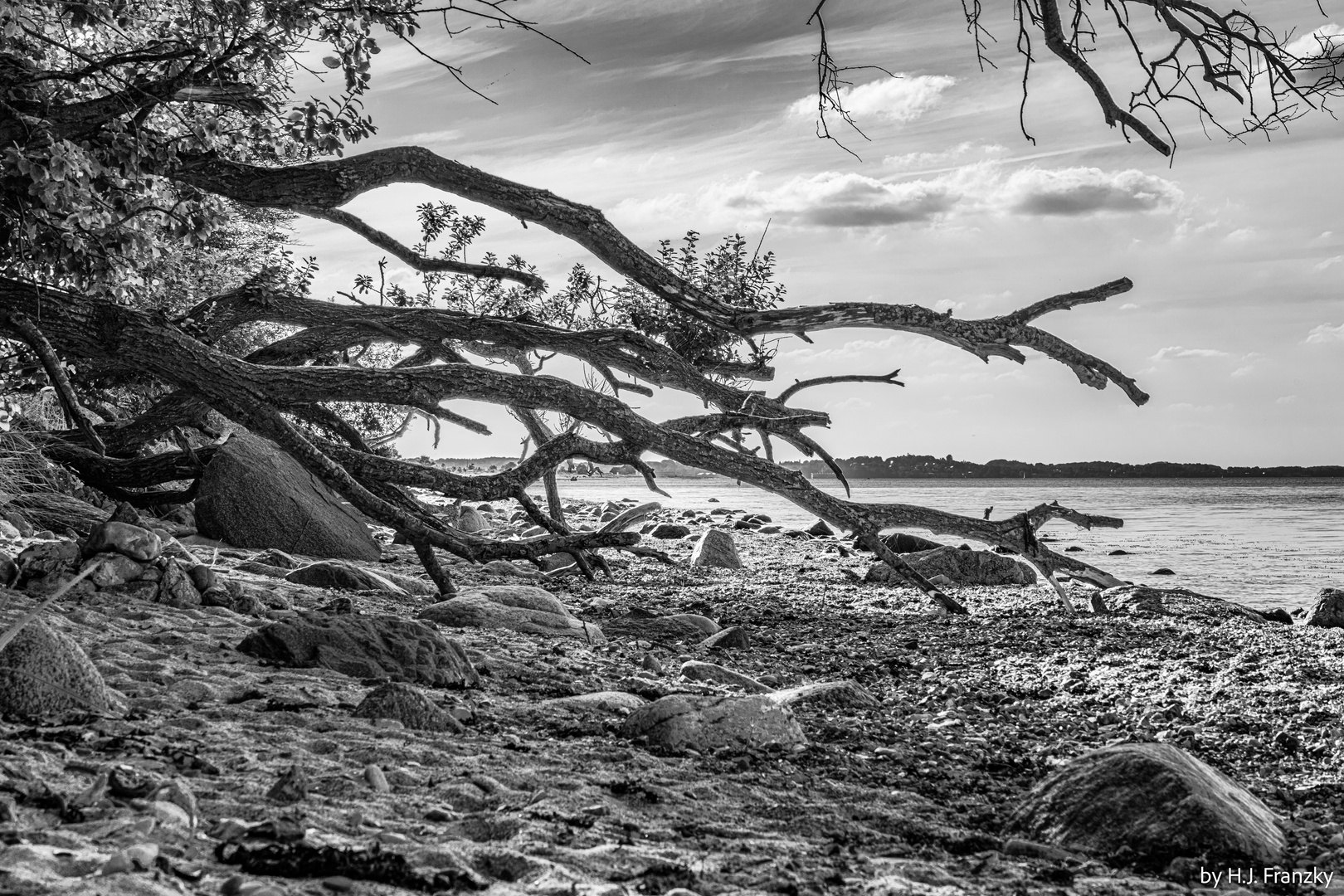 Abbruch mit Durchblick zum Wasser