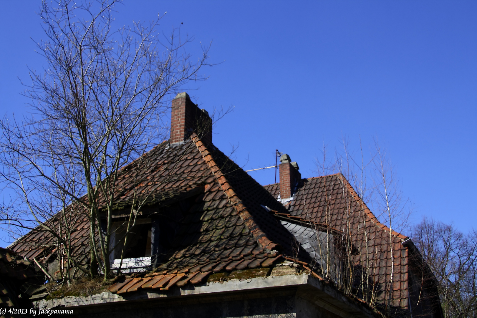 Abbruchäuser - Auf Fototour in der "Geistersiedlung" Gladbeck-Zweckel (3)