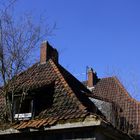 Abbruchäuser - Auf Fototour in der "Geistersiedlung" Gladbeck-Zweckel (3)