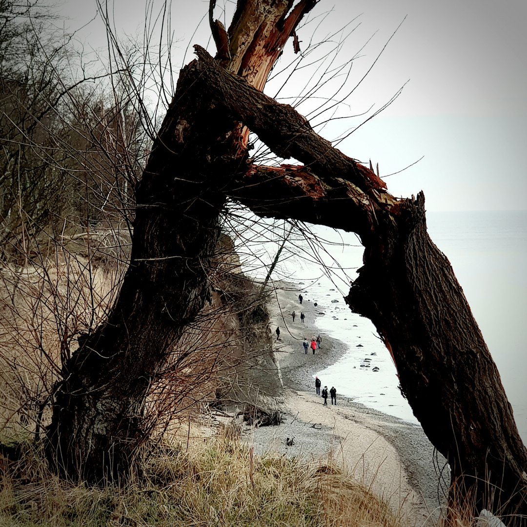 Abbruchkante Foto & Bild urlaub, wald, outdoor Bilder auf