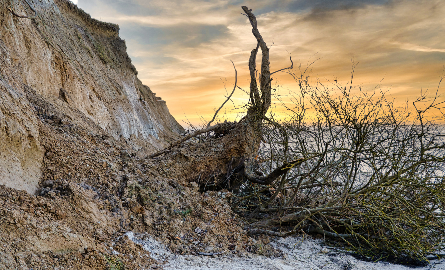 …Abbruchkante der Steilküste in Stein/Laboe….