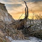 …Abbruchkante der Steilküste in Stein/Laboe….