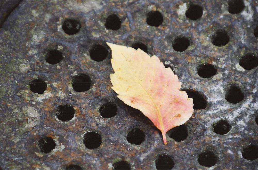 Abbschied vom Herbst