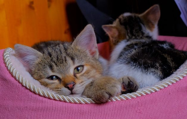 Abby vor ihrer großen Fahrt
