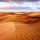 Dunes of Maspalomas