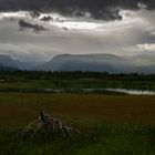 ..abdendliche Stimmung übern Moor...