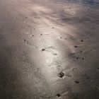 Abdruck - Spuren am Strand von Helgoland