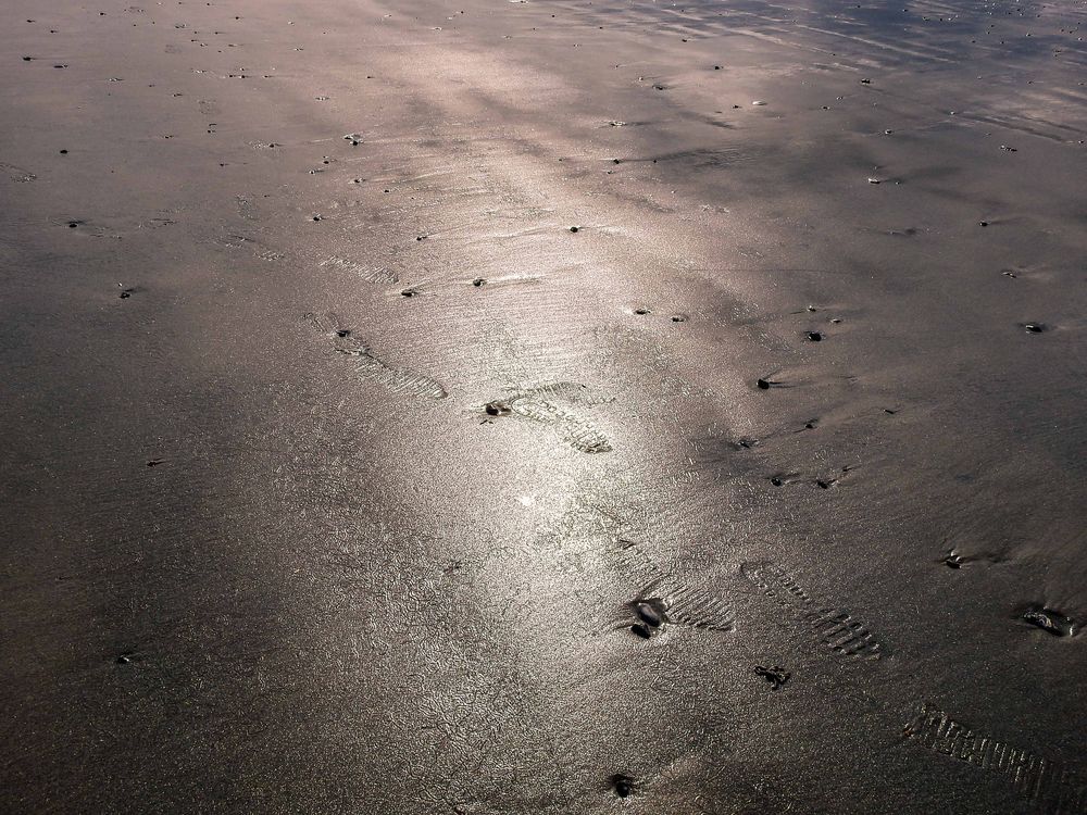 Abdruck - Spuren am Strand von Helgoland