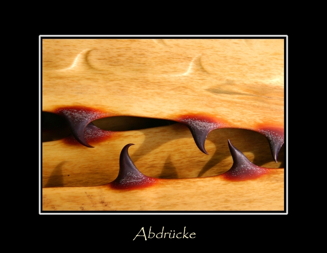 Abdrücke