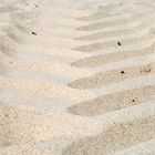 abdrücke im sand