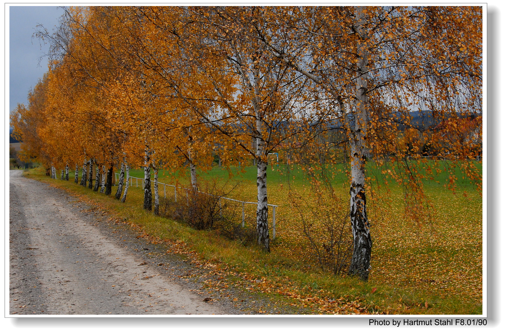 Abedules en el camino (Birken am Weg)