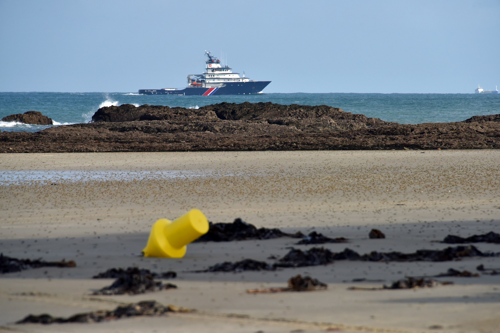 Abeille au large d'une plage Normande