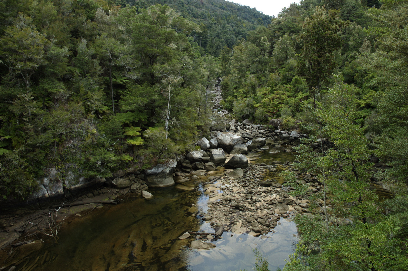 Abel Tasman