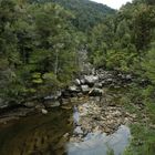 Abel Tasman