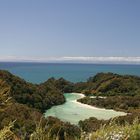 Abel Tasman