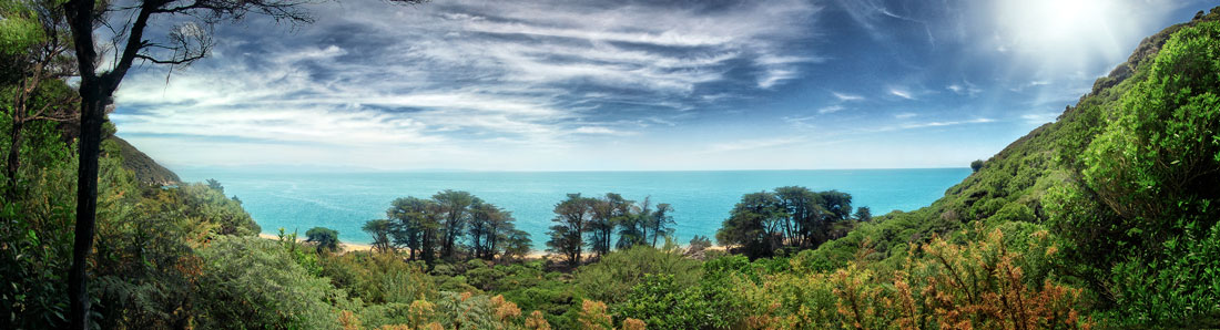 Abel Tasman