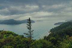 Abel Tasman