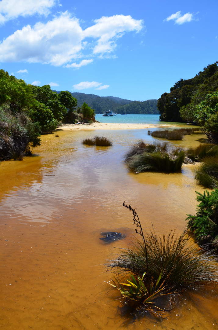 Abel Tasman