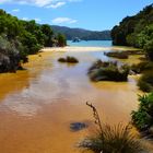 Abel Tasman