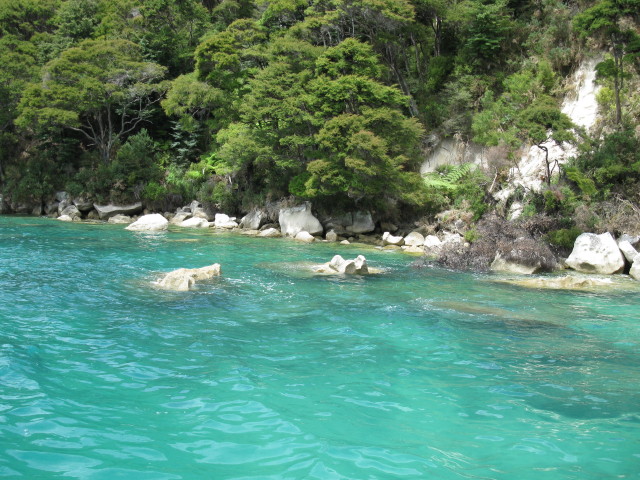 Abel Tasman