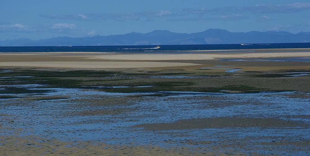 Abel Tasman bei Ebbe