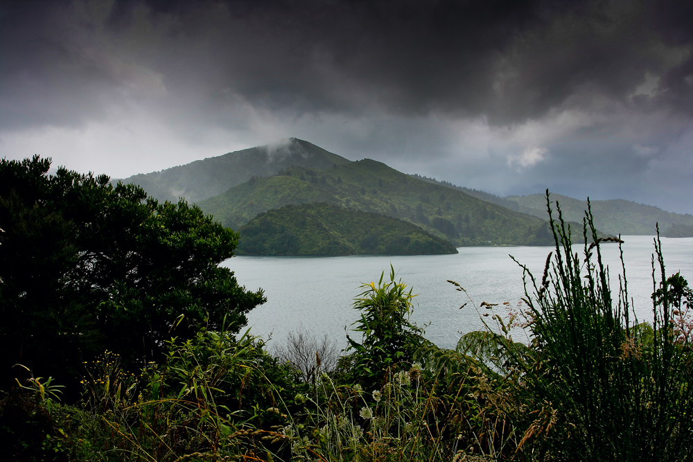 Abel Tasman Coast