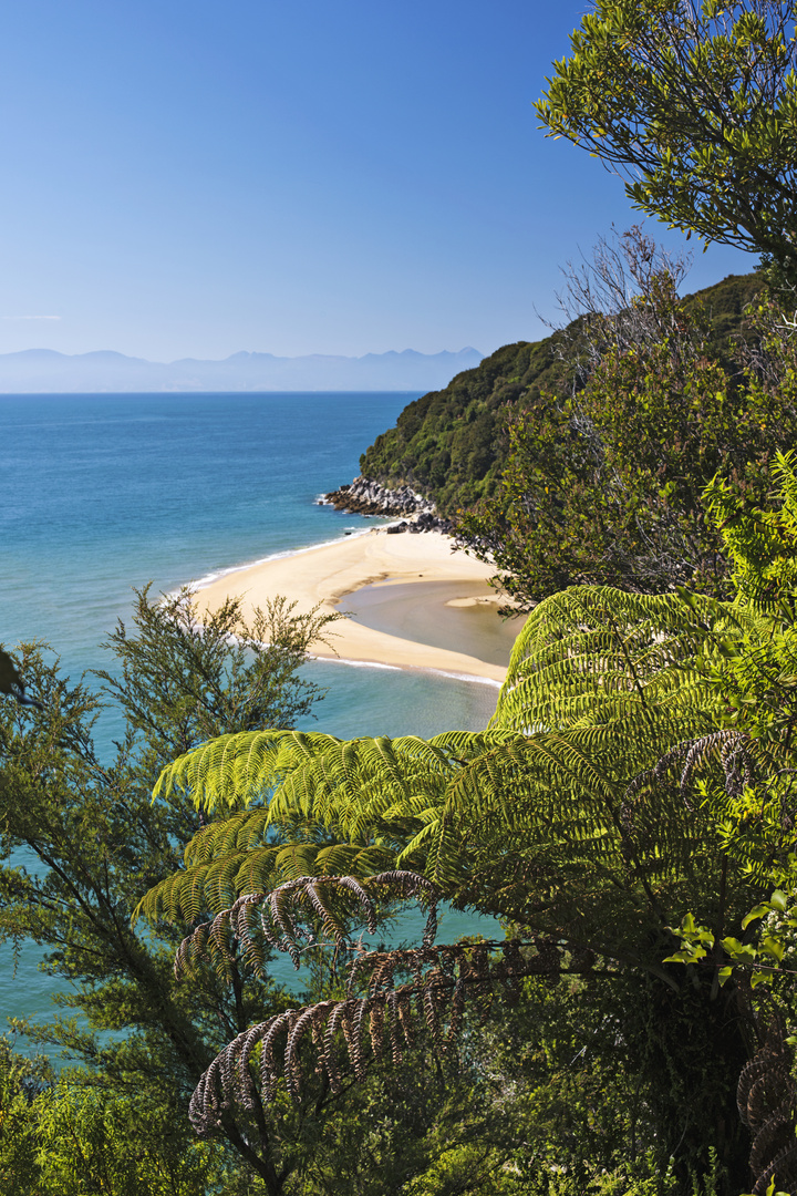 Abel Tasman Coast Track Foto & Bild neuseeland, südinsel, world