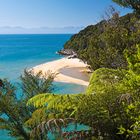 Abel Tasman Coast Track