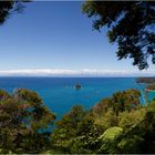 abel tasman