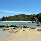 Abel Tasman