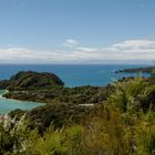 Abel Tasman