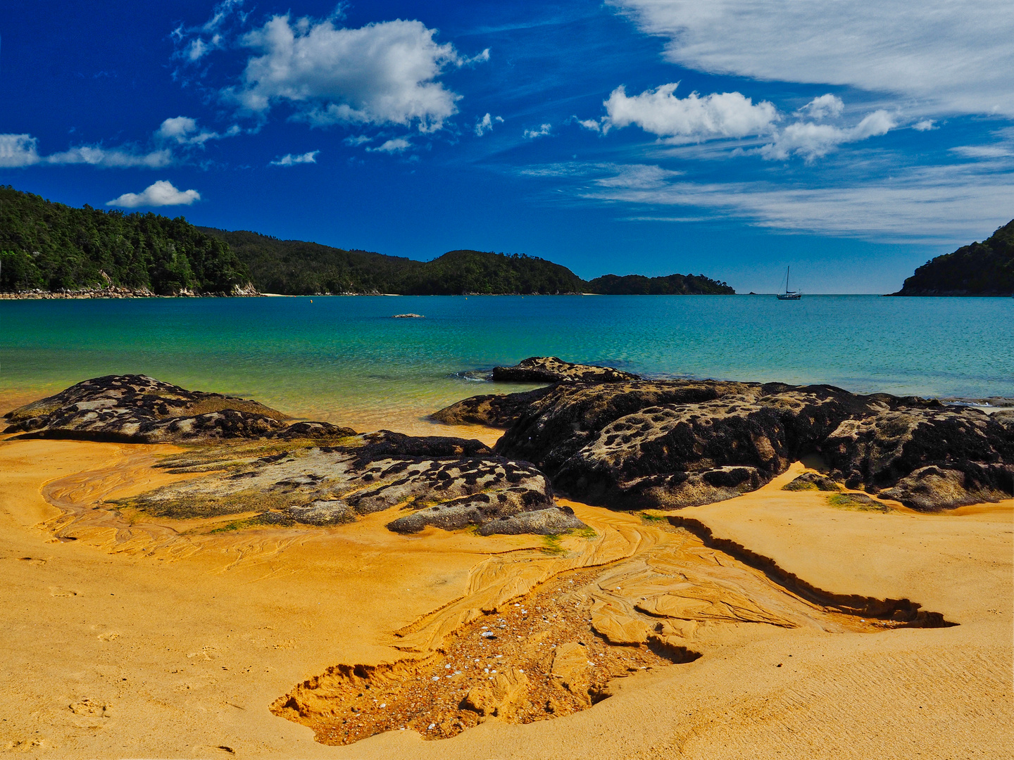 Abel Tasman Feeling