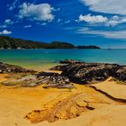 Abel Tasman Feeling