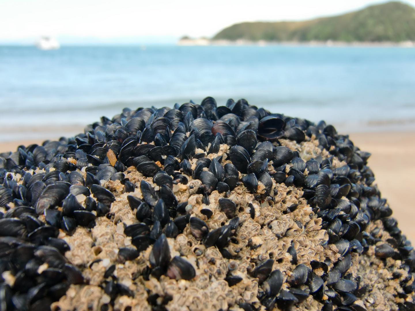 Abel Tasman National Park