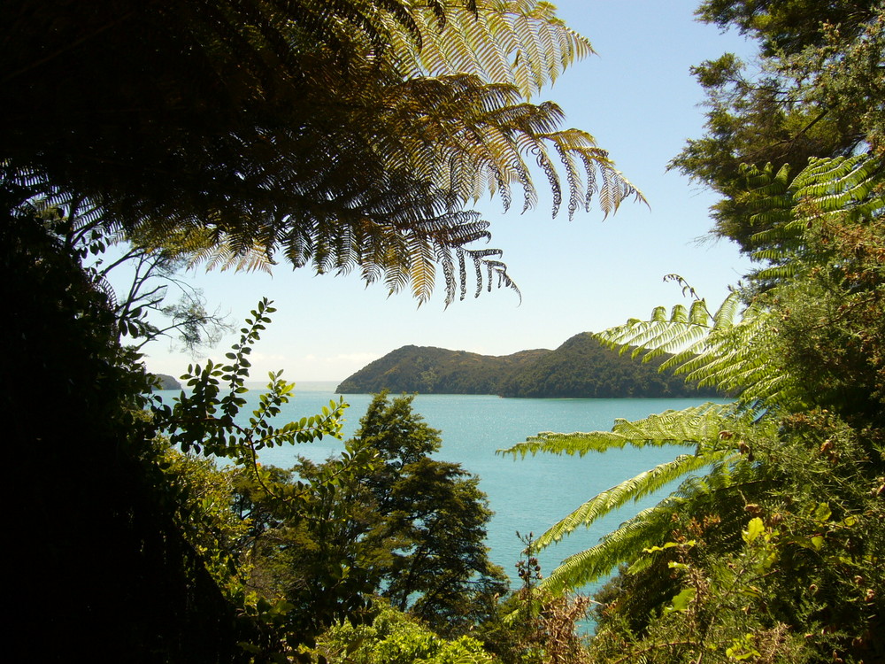 abel tasman national park