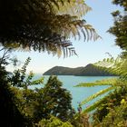 abel tasman national park