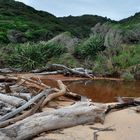 Abel Tasman Nationalpark