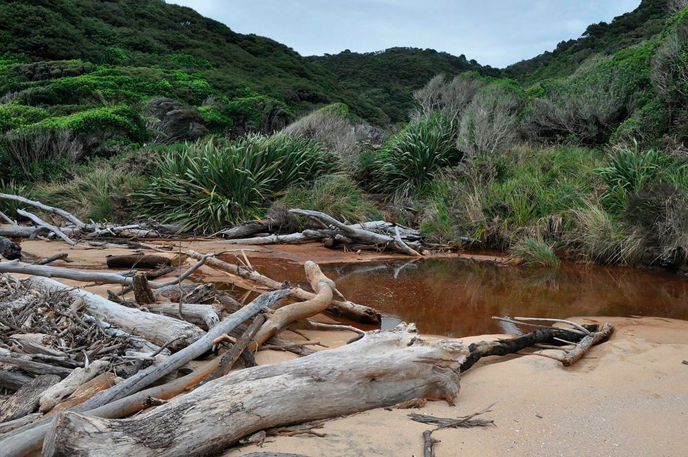 Abel Tasman Nationalpark