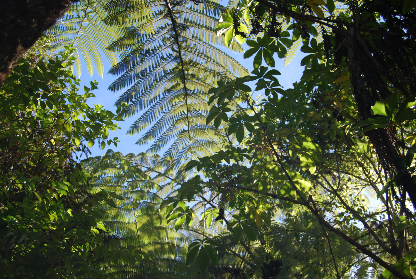 Abel Tasman Nationalpark