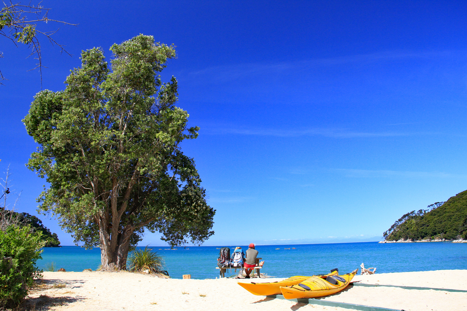 Abel Tasman Nationalpark - Neuseeland 2019