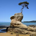 Abel Tasman Nationalpark, Neuseeland