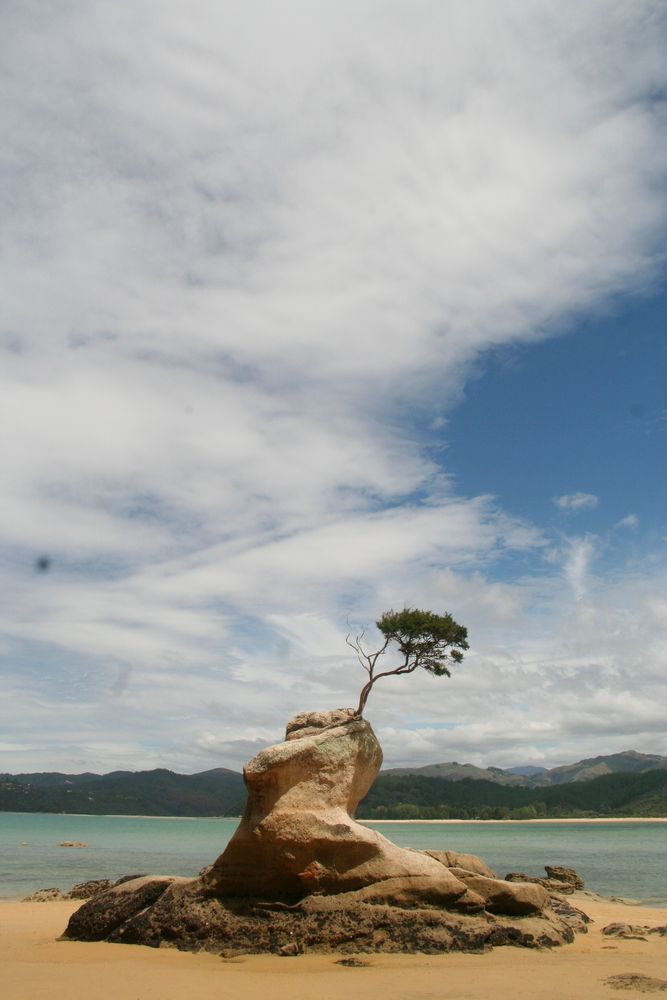 Abel Tasman NP