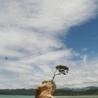 Abel Tasman NP