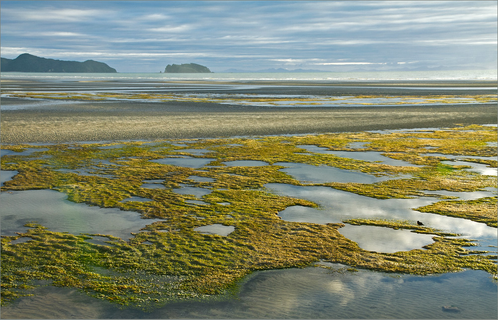 Abel Tasman NP